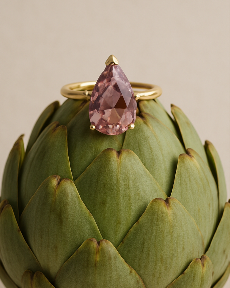 Anillos