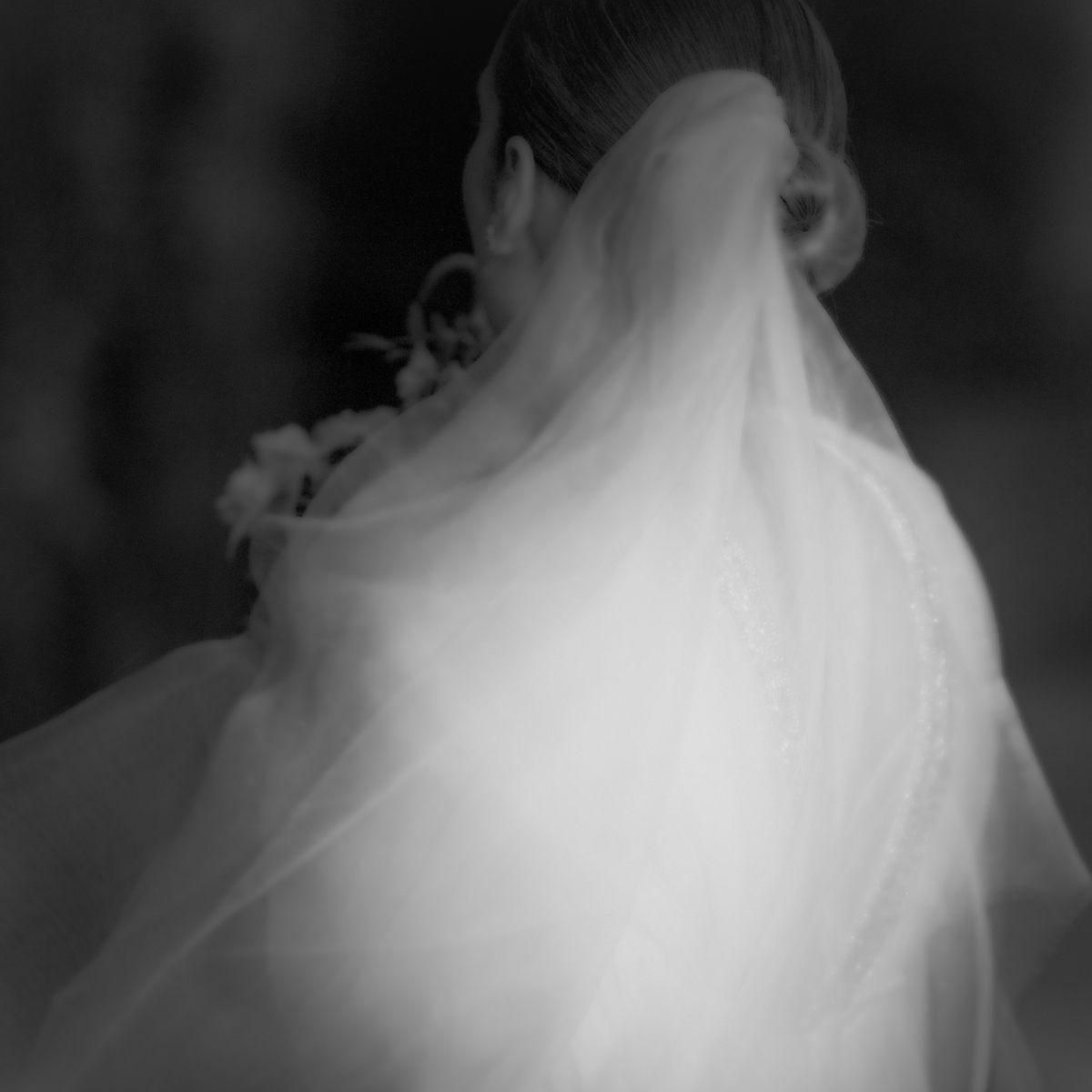 NOVIA