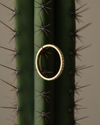 Anillo clásico con circonitas blancas en talla circular, acabado en oro amarillo y diseño elegante y versátil.