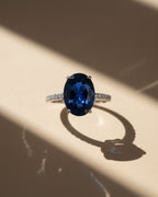 Anillo Deep Sea con pequeñas circonitas blancas engastadas en el brazo.