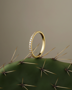 Diseño minimalista con circonitas de 1 mm que crean un brillo continuo, acabado en oro amarillo y estilo atemporal.