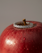 Anillo estilo media alianza Tess con circonitas blancas brillantes y acabado en rodio de gran durabilidad.