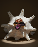 Anillo DUALIS con piedras rosa y morganita que aportan color y sofisticación.