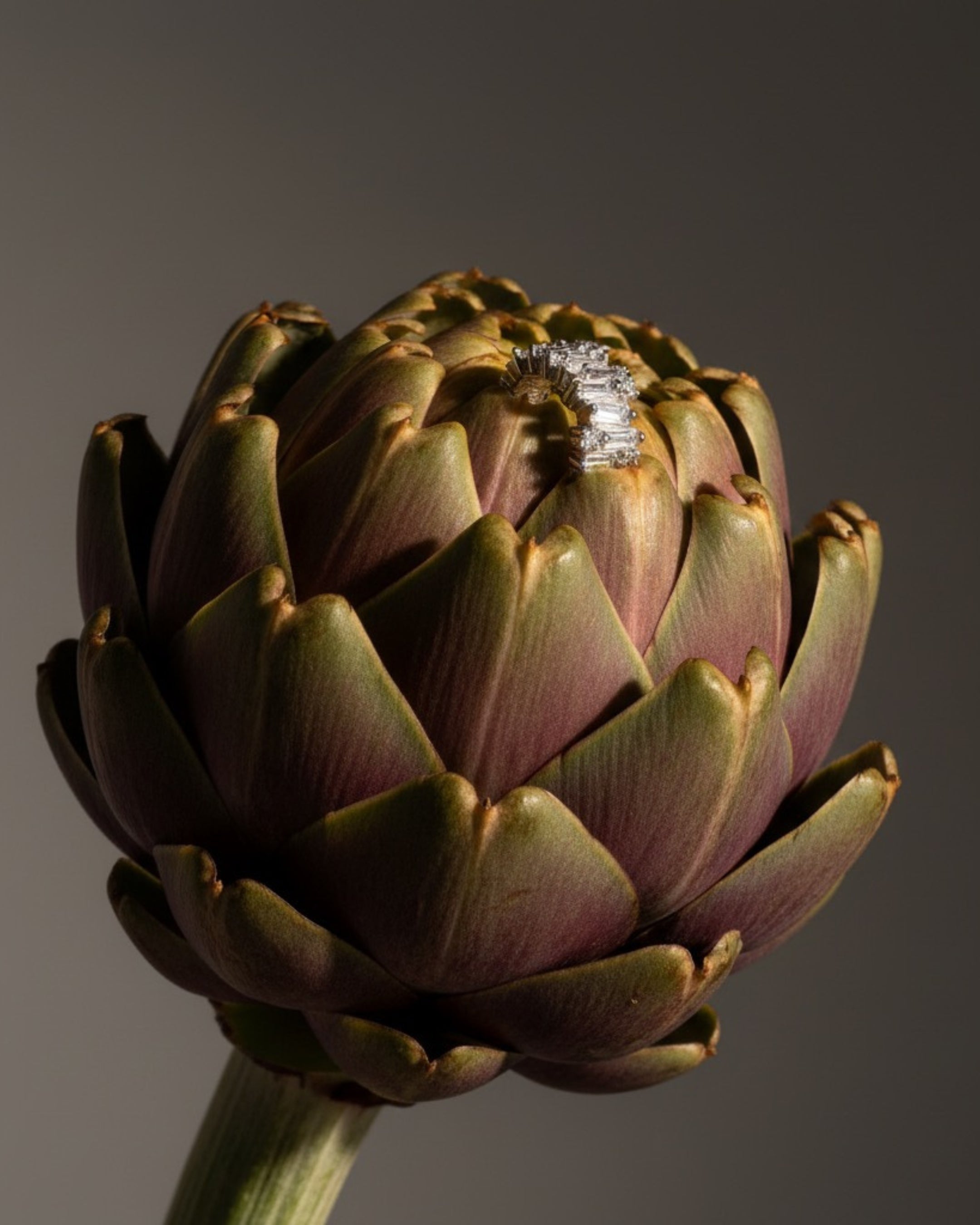 Ear cuff Alba sin perforación, elaborado en base de alta calidad Sibela con chapado en rodio. Sus piedras blancas crean un efecto luminoso y contemporáneo.