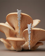 Primer plano de los pendientes Líridas donde se aprecia el brillo de las pequeñas piedras circulares.