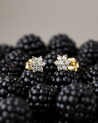 Pendientes de circonita blanca con chapado en oro amarillo, una joya elegante, versátil y fácil de combinar.