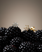 Pendientes Star de Sibela en plata de ley 925 y chapado en oro amarillo, un básico elegante para cualquier ocasión.